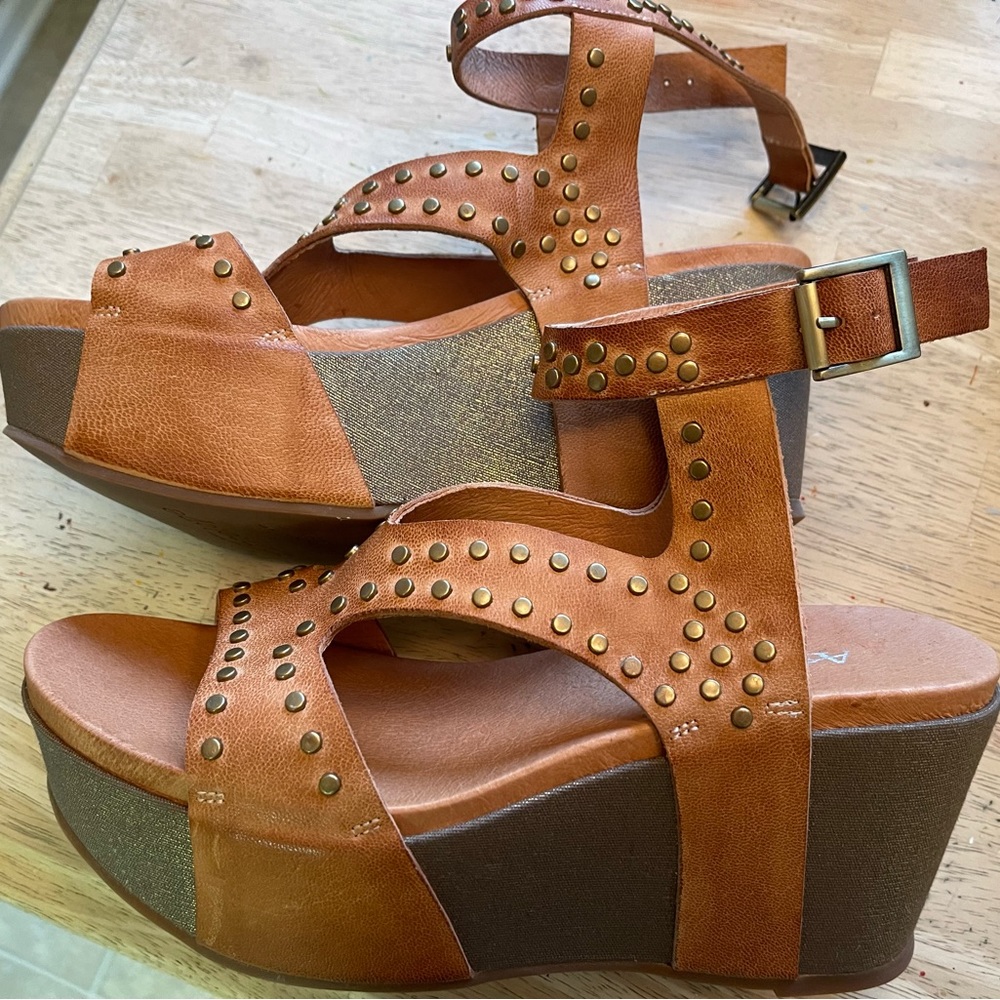 Antelope Ankle Strap Platform Wedge—size 41 (10)